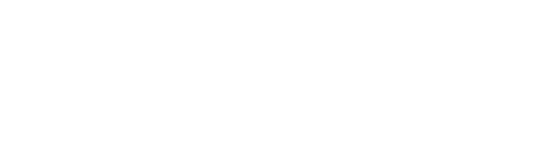 Electric Elle